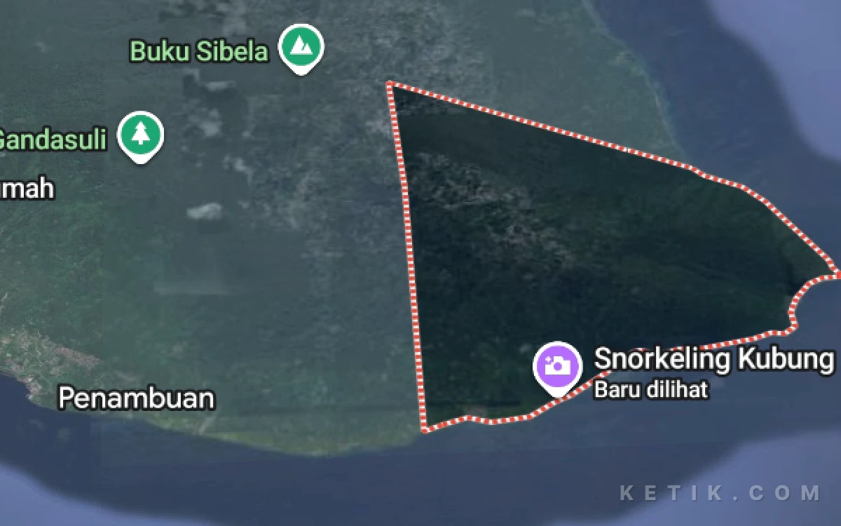 Thumbnail Berita - Hutan Konservasi Kubung Dikeruk Terang-terangan, Hukum Seperti Mati Lampu di Depan Emas