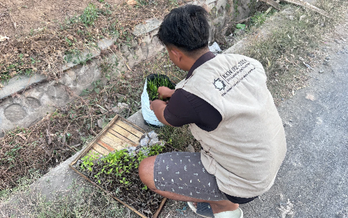 Foto Mahasiswa KKN UINSA Surabaya Kelompok 192 mengganti bibit cabai putih yang rusak dengan bibit baru di Desa Jebung Kidul pada sore hari. (Foto: Muhammad Fathir Ahsan Almasruri)