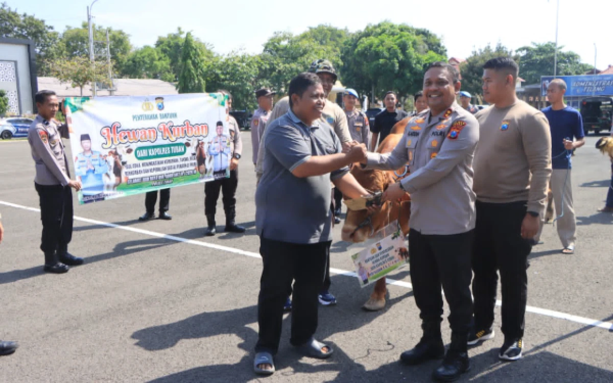 Thumbnail Berita - Iduladha 1447 Hijriah, Polres Tuban Salurkan 11 Ekor Sapi dan 31 Kambing Kurban