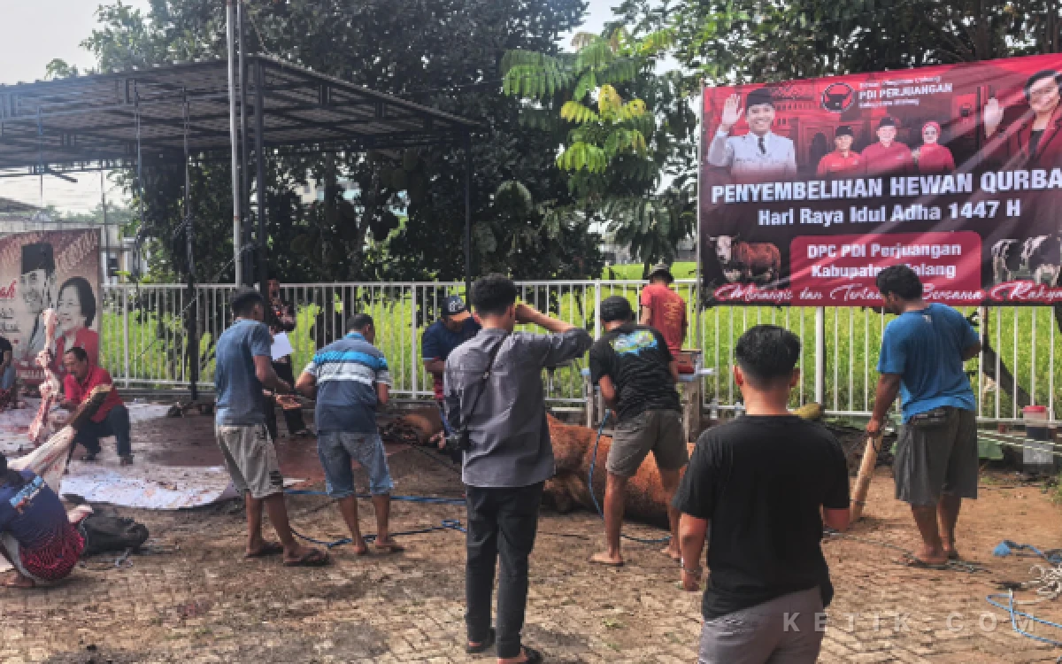 Thumbnail Berita - Aksi Nyata PDI Perjuangan Kabupaten Malang! kurban 9 Ekor Sapi, Daging Dibagikan ke Masyarakat Marhen