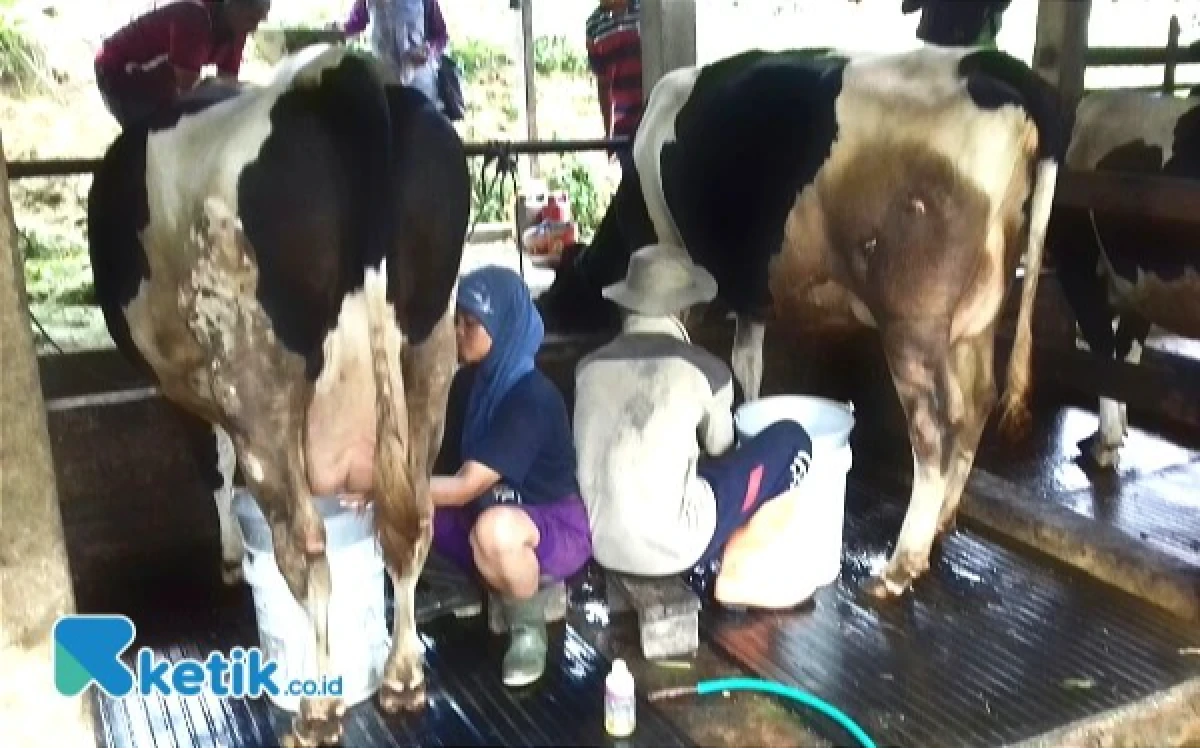 Thumbnail Berita - Protein Hewani Penting untuk Kualitas SDM, Berperan bagi Otak dan Pertumbuhan Anak
