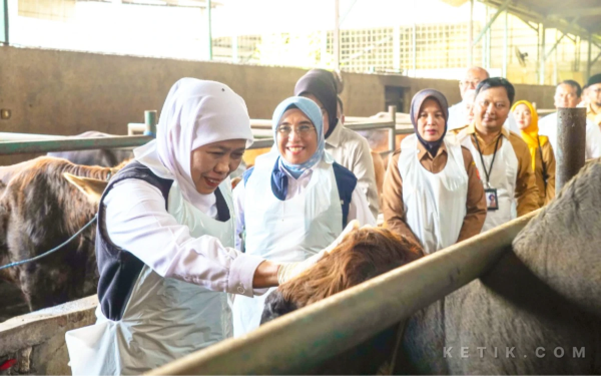 Thumbnail Berita - Dekati Iduladha, Khofifah Inspeksi Harga Pangan hingga Cek Kesiapan Hewan Kurban di Bojonegoro