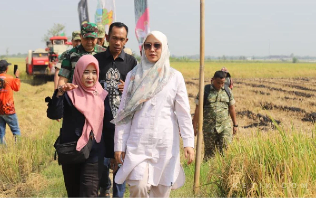 Thumbnail Berita - Tradisi Wiwit Panen Raya di Bojonegoro Tetap Lestari, Sri Wahyuni Tekankan Pentingnya Perhatian bagi Petani