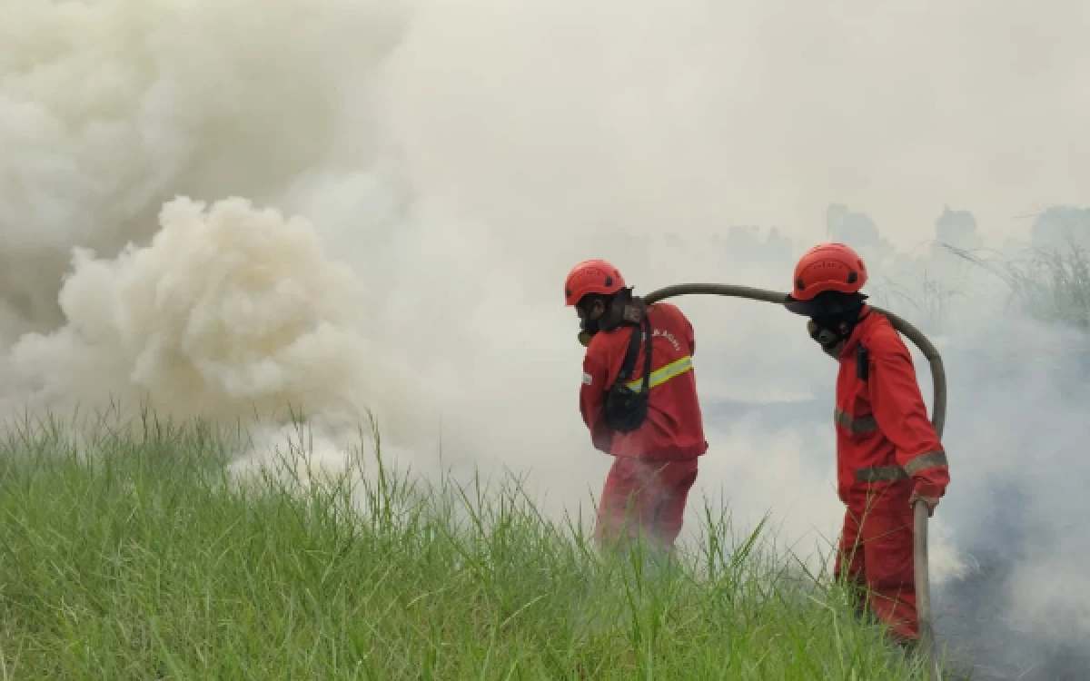 Thumbnail Berita - Kabut Asap Karhutla Picu ISPA di Sumsel, BPJS Kesehatan Palembang Siap Jamin Pengobatan Pasien