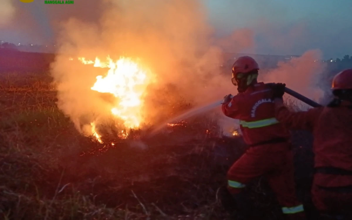 Thumbnail Berita - Tim Manggala Agni Selamatkan Jutaan Nyawa Saat Karhutla Mengamuk dan Truk Terbakar di Tol Sumatera