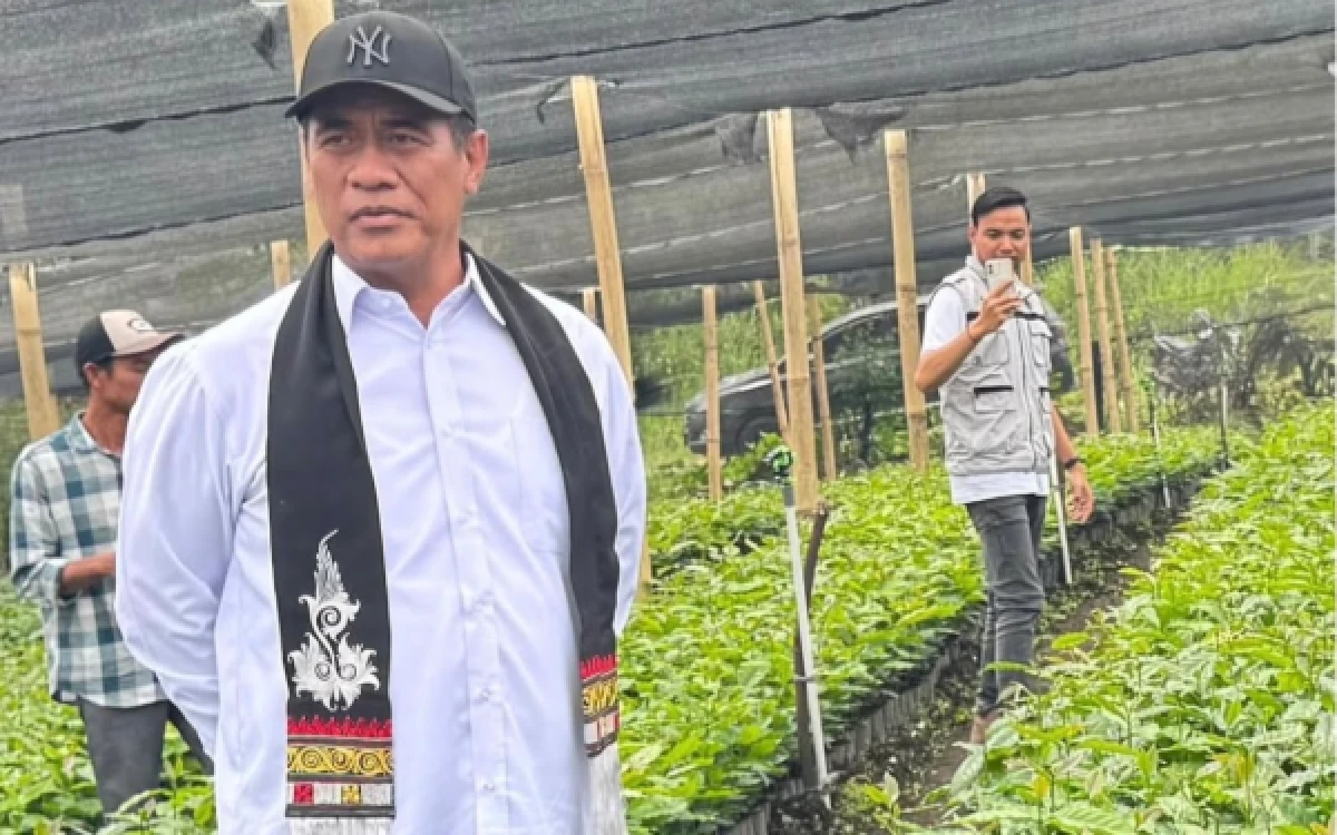 Thumbnail Berita - Amran Dorong Perkebunan Lampung Jadi Kekuatan Baru Ekonomi Petani, Kementan Gelontorkan Rp350 Miliar