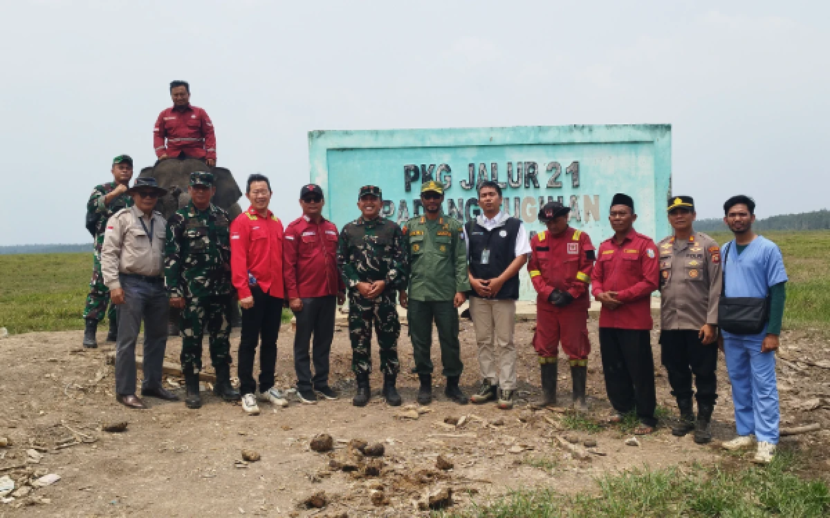 Thumbnail Berita - Gajah dan Satwa Langka Selamat dari Maut! Aksi Heroik Satgas Gabungan Lumpuhkan Karhutla SM Padang Sugihan