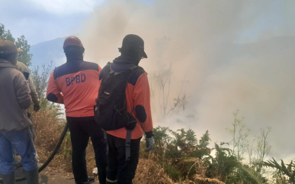 Thumbnail Berita - Kebakaran Bromo Meluas ke Malang, 70 Hektare Lahan Hangus