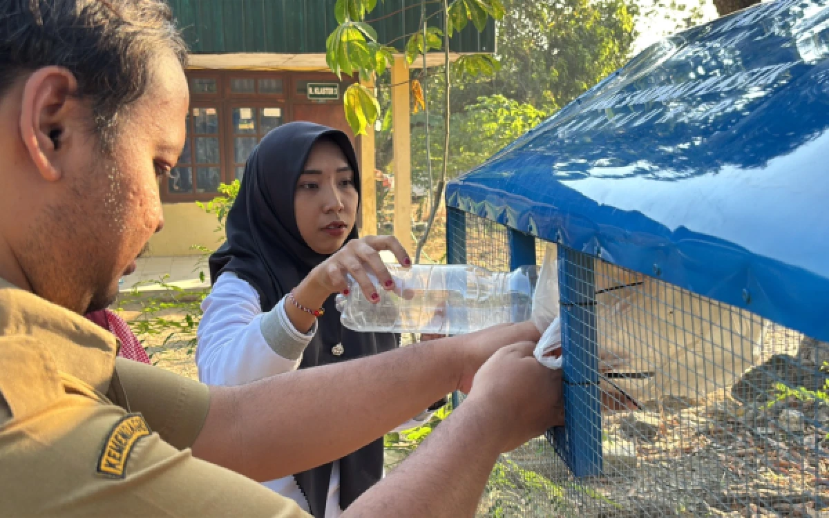Foto Aksi simbolis pembuangan botol plastik ke dalam Drop Box Sampah Plastik di Posyandu Dusun Gunung Kendil, Desa Banyuurip. (Foto: Dokumentasi Kelompok KKN 40 UINSA)