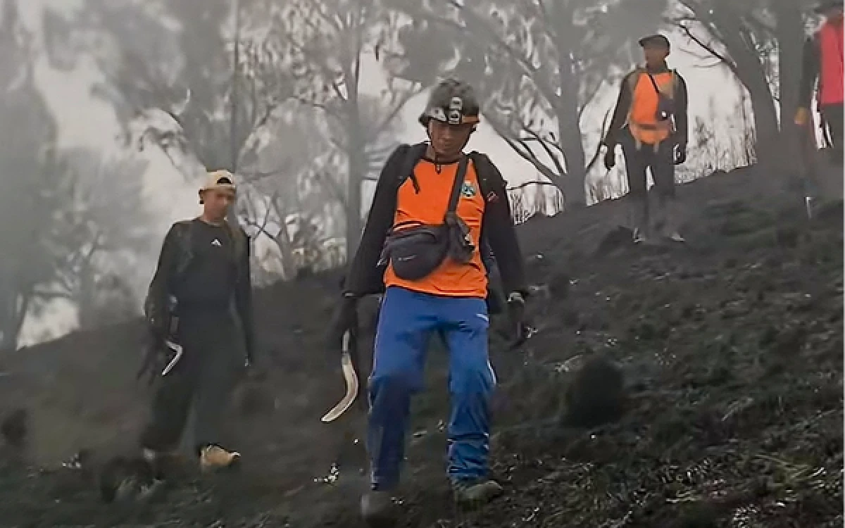 Thumbnail Berita - Karhutla Gunung Arjuno-Welirang Makin Meluas, Dua Titik Api Muncul di Sumbergondo Kota Batu