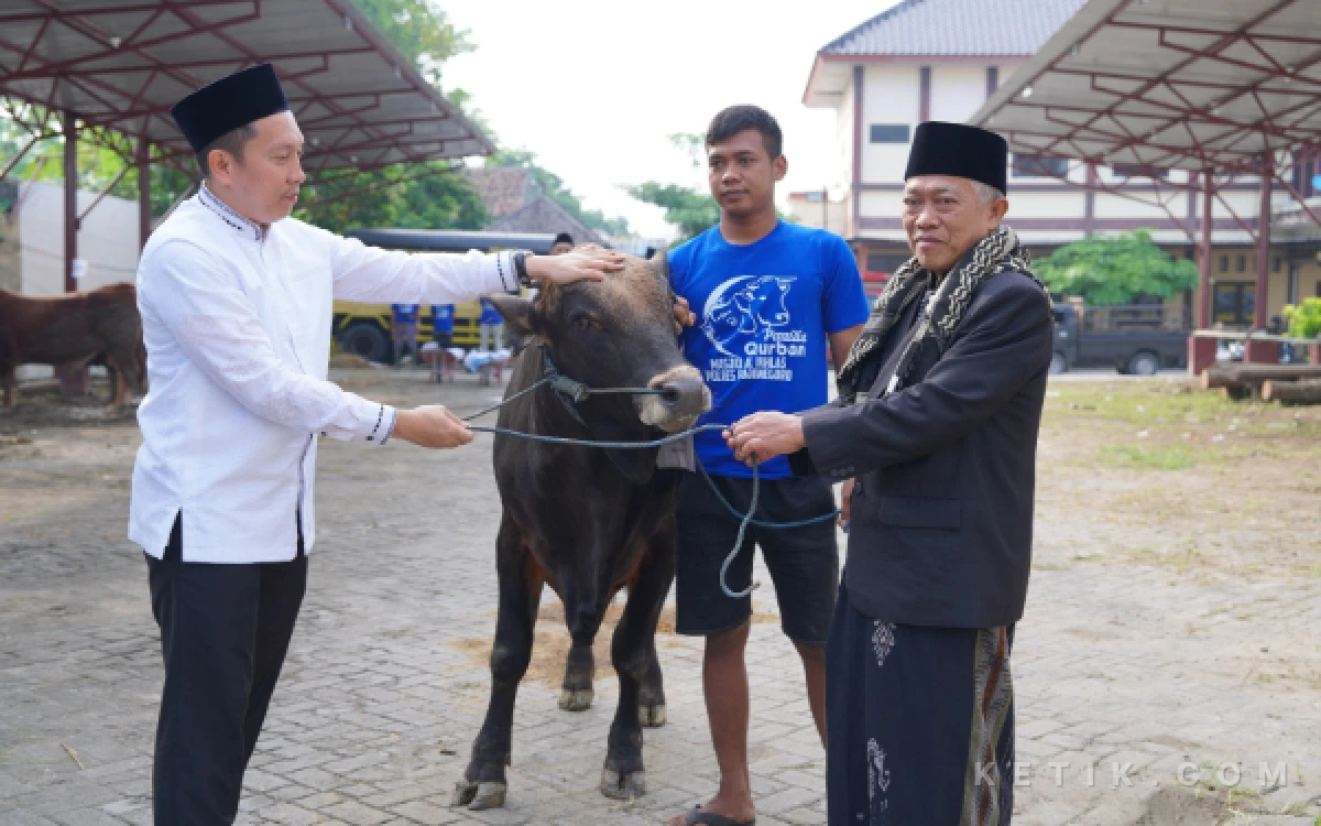 Thumbnail Berita - Iduladha 1447 H, Polres Bojonegoro Salurkan 22 Sapi dan 40 Kambing Kurban untuk Masyarakat