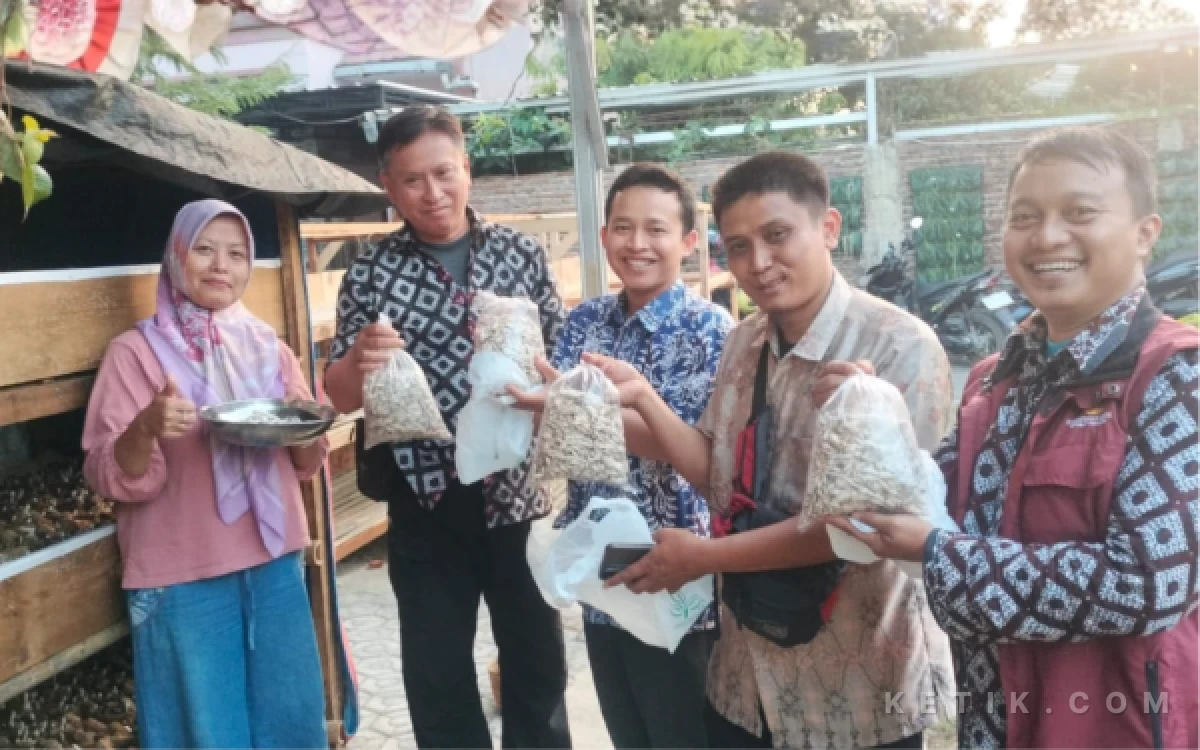 Thumbnail Berita - Anggota DPRD Suwarno Ajak KPM PKH Brebes Sulap Limbah Tongkol Jagung Jadi Cuan, Modal Rp100 Ribu Untung Rp600 Ribu