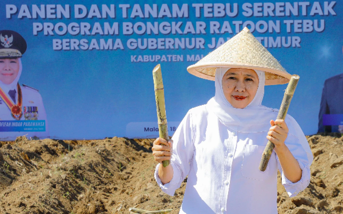 Thumbnail Berita - Gubernur Khofifah Ungkap Malang Miliki Historis Produktivitas Tebu Tinggi! Bukti Kombinasi Varietas Unggul, Kolaborasi dan Teknologi