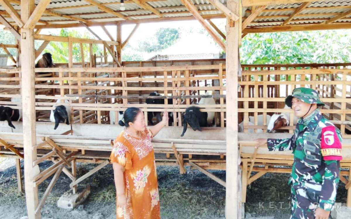Thumbnail Berita - Kala Babinsa TMMD 129 Bojonegoro Sambangi Peternak Kambing di Kesongo