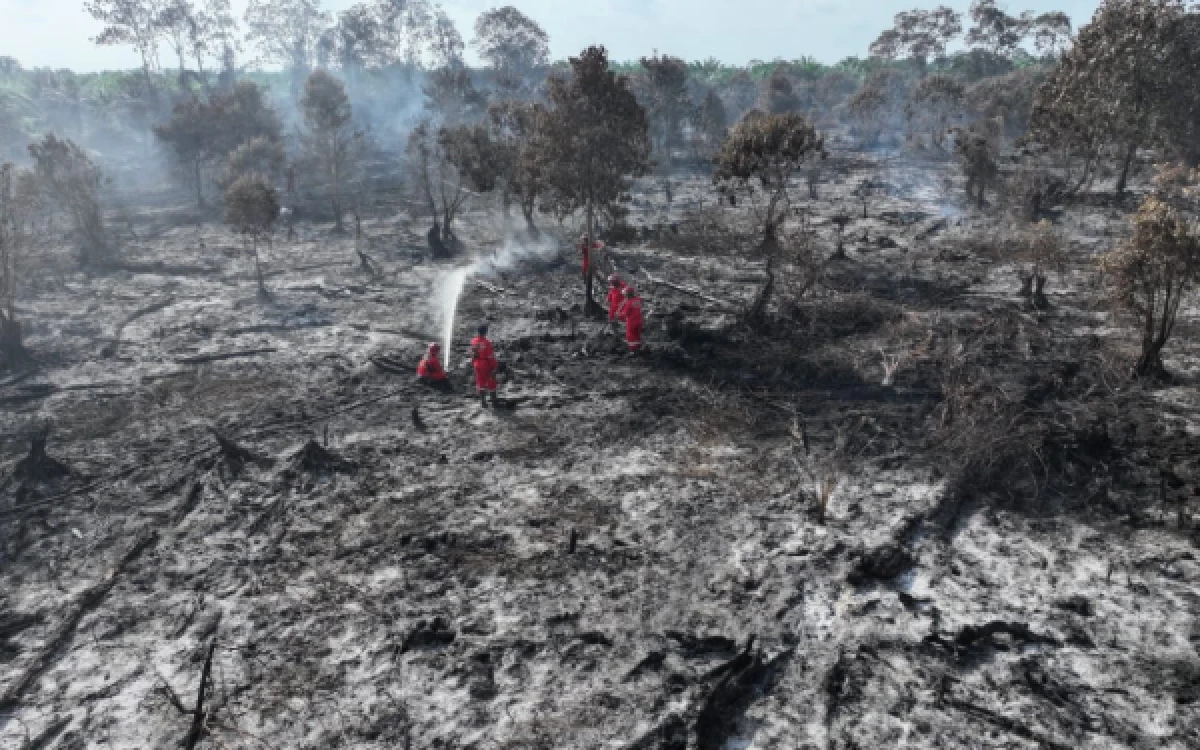 Thumbnail Berita - Tangkap 9 Pelaku Karhutla di Sumsel, Polisi Ungkap Modus Bakar Lahan