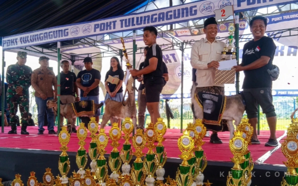 Thumbnail Berita - Sinergi Tingkatkan Ekonomi, Kontes Kambing "Nyancang Bareng" Sukses Digelar di Tulungagung
