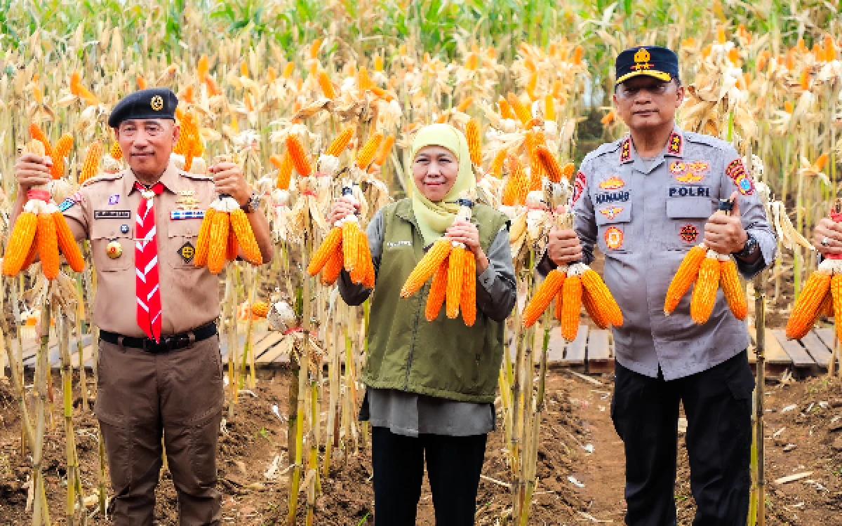 Thumbnail Berita - Hari Tani Nasional 2026, Gubernur Khofifah Apresiasi Petani Jatim sebagai Penjaga Lumbung Pangan Indonesia