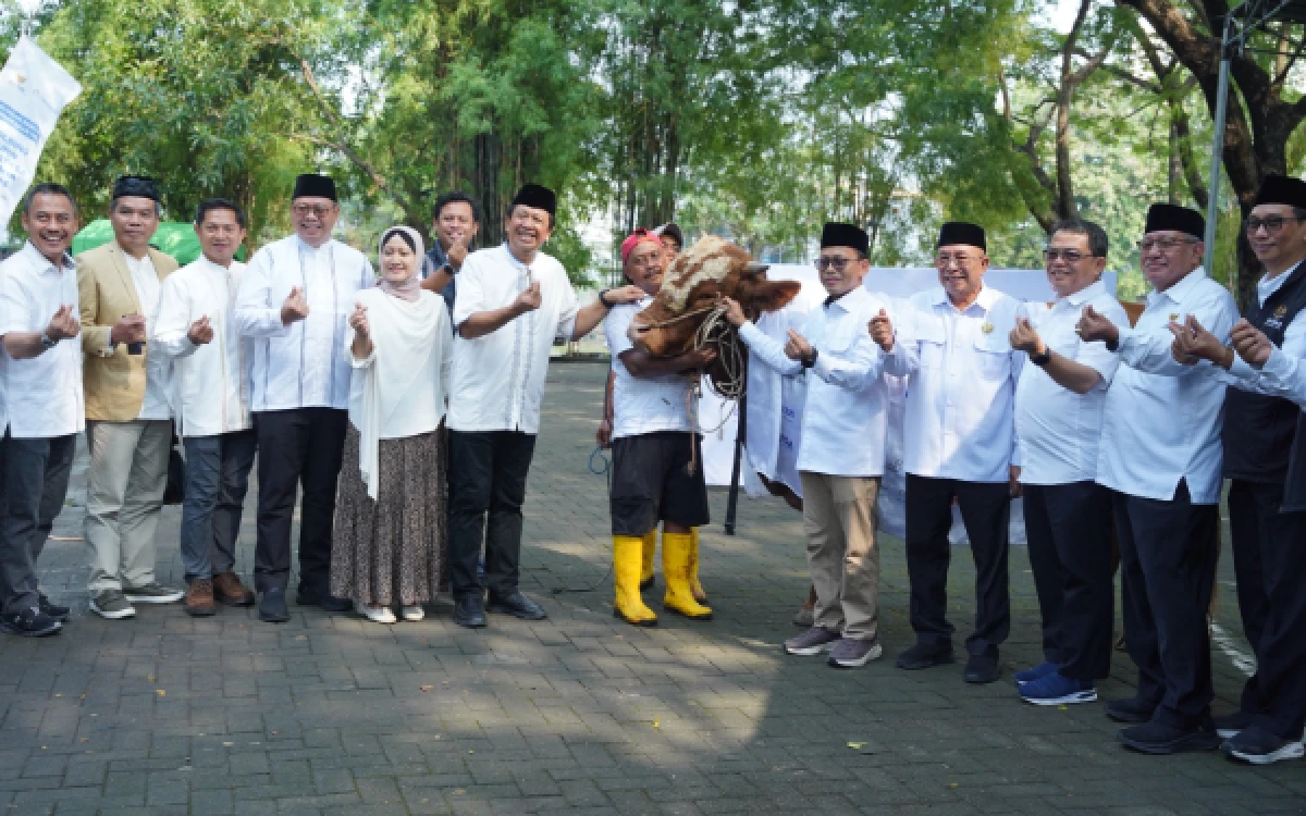 Thumbnail Berita - Terpusat di PT SIER Surabaya, Danareksa Gandeng Baznas Tebar Daging Kurban untuk 3.800 Keluarga Prasejahtera
