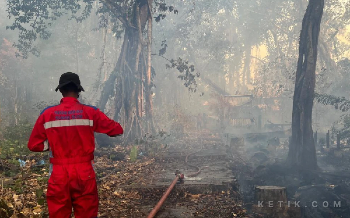 Thumbnail Berita - Jeritan Misterius di Balik Kebakaran Hutan Kota Halmahera Selatan