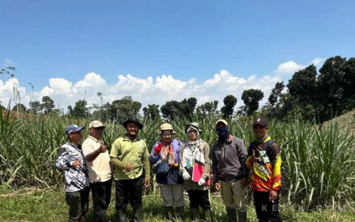 Thumbnail Berita - CV Lang Buana dan Kementan Perkuat Produktivitas Tebu Rakyat di Blitar