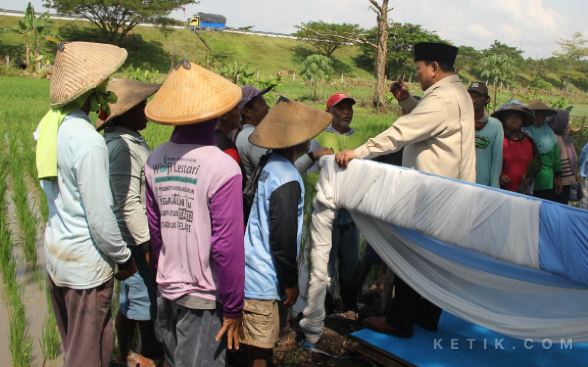 Thumbnail Berita - Prabowo Ajak Ngobrol Petani Nganjuk di Desa Marsinah, Mengeluh Kesulitan Pupuk