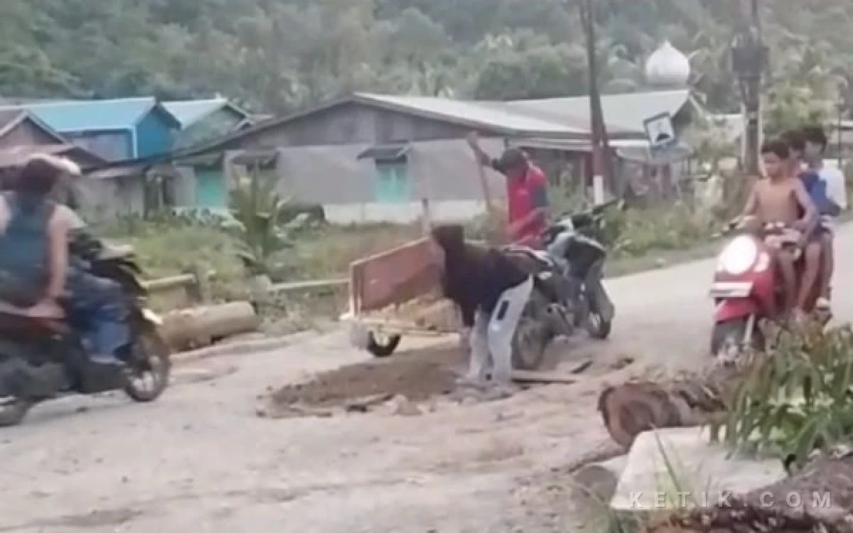 Thumbnail Berita - Merasa Prihatin, Warga di Simeulue Tambal Jembatan Berlubang