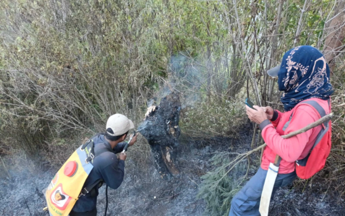Foto Proses pemadaman kebakaran hutan yang terjadi di Blok Ranu Kembang yang berada di sekitar jalur pendakian Gunung Semeru, Kamis, 27 Agustus 2026 (Foto : Balai Besar TNBTS)