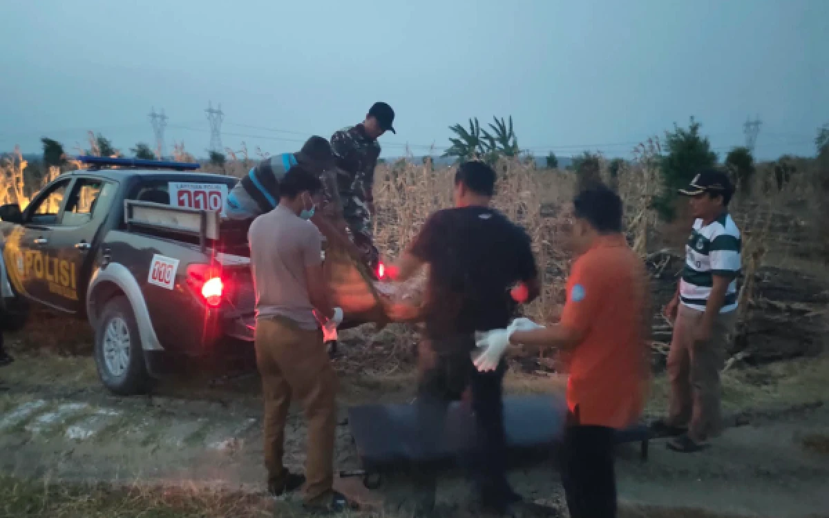 Thumbnail Berita - Pamit Cari Pakan Ternak, Lansia di Lamongan Ditemukan Meninggal di Sawah