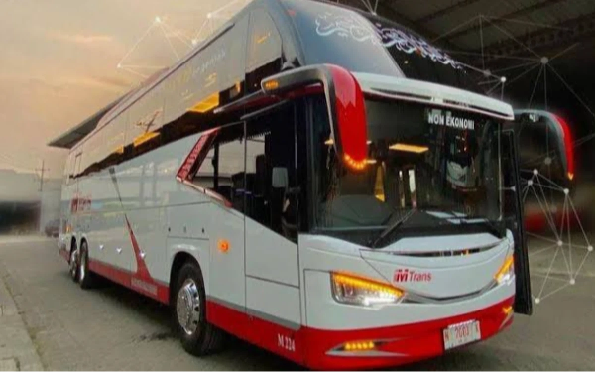 Thumbnail Berita - M Trans Buka Lowongan Kerja Driver Bus, Simak Syarat dan Cara Daftarnya