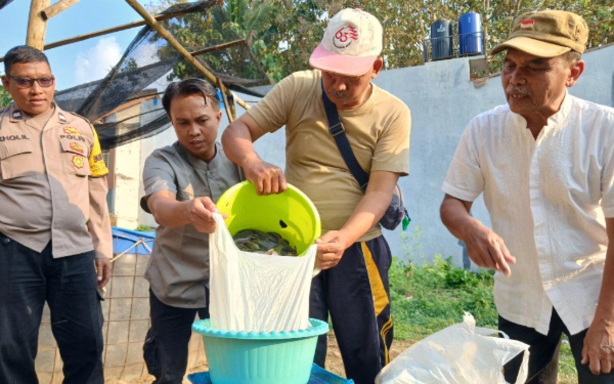 Foto Saat warga menerima lele program KKMP Cemorokandang. (Foto: Hanif/Ketik.com)