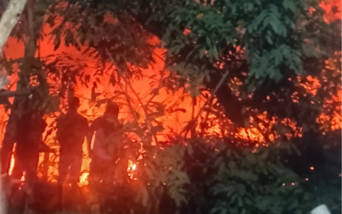 Thumbnail Berita - Aksi Heroik Petugas Damkar Palembang Padamkan Karhutla yang Nyaris Sambar Rumah Warga