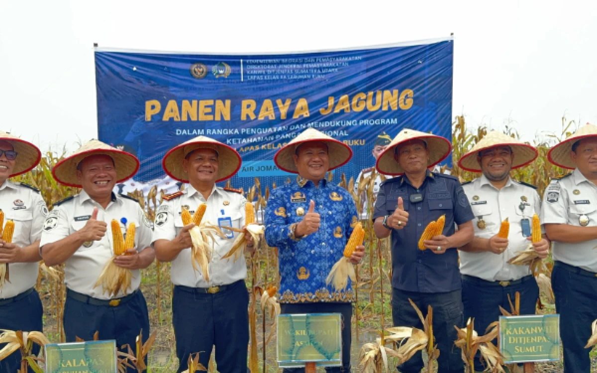 Thumbnail Berita - Panen Raya Jagung di Lahan 10 Hektar, Wabup Asahan Dibuat Takjub dengan Hasil Binaan Lapas
