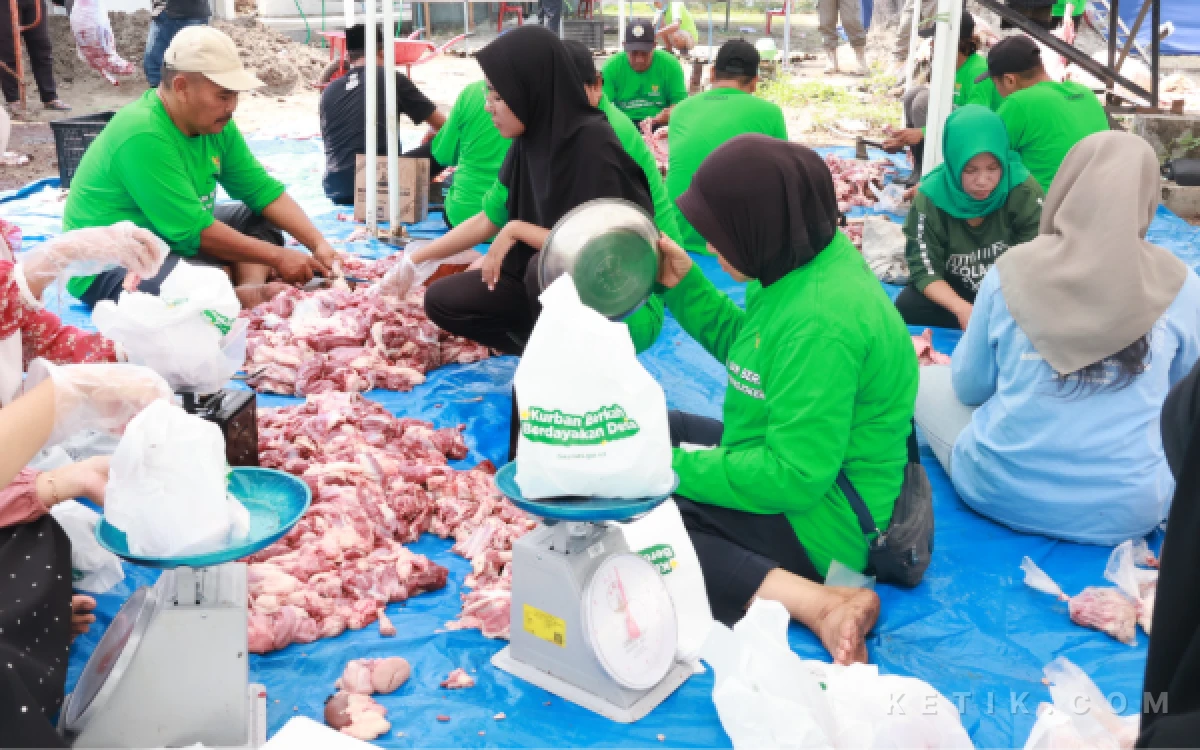Thumbnail Berita - BAZNAS Mojokerto Sembelih 301 Kambing Kurban, 3.621 Paket Daging Dibagikan untuk Warga Miskin