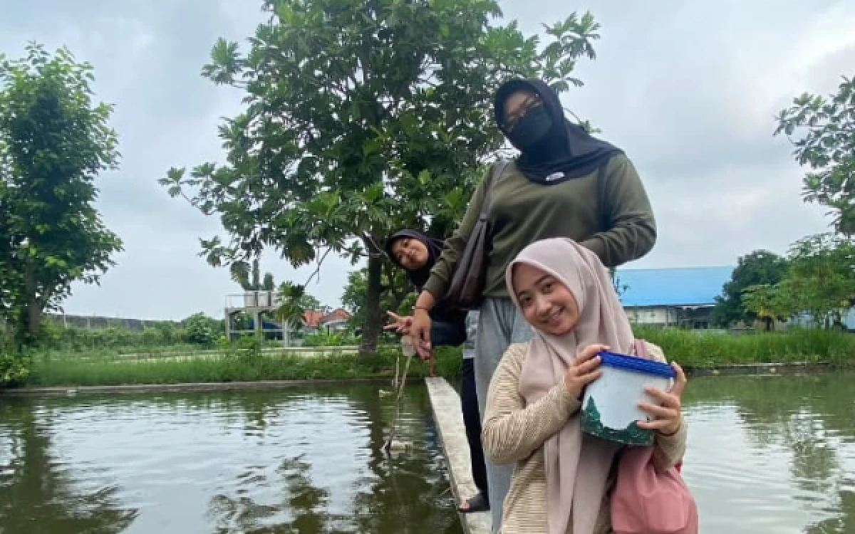 Thumbnail Berita - Mahasiswa MBKM PSDKU UB Kediri Perdalam Keterampilan Budidaya Ikan di UPT PBAT Tulungagung