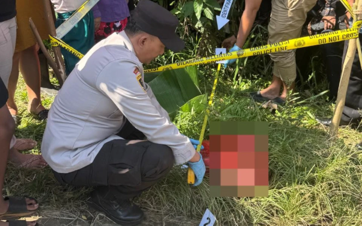 Thumbnail Berita - Geger! Bayi Laki-laki Ditemukan Meninggal di Pinggir Jalan di Karangploso Kabupaten Malang