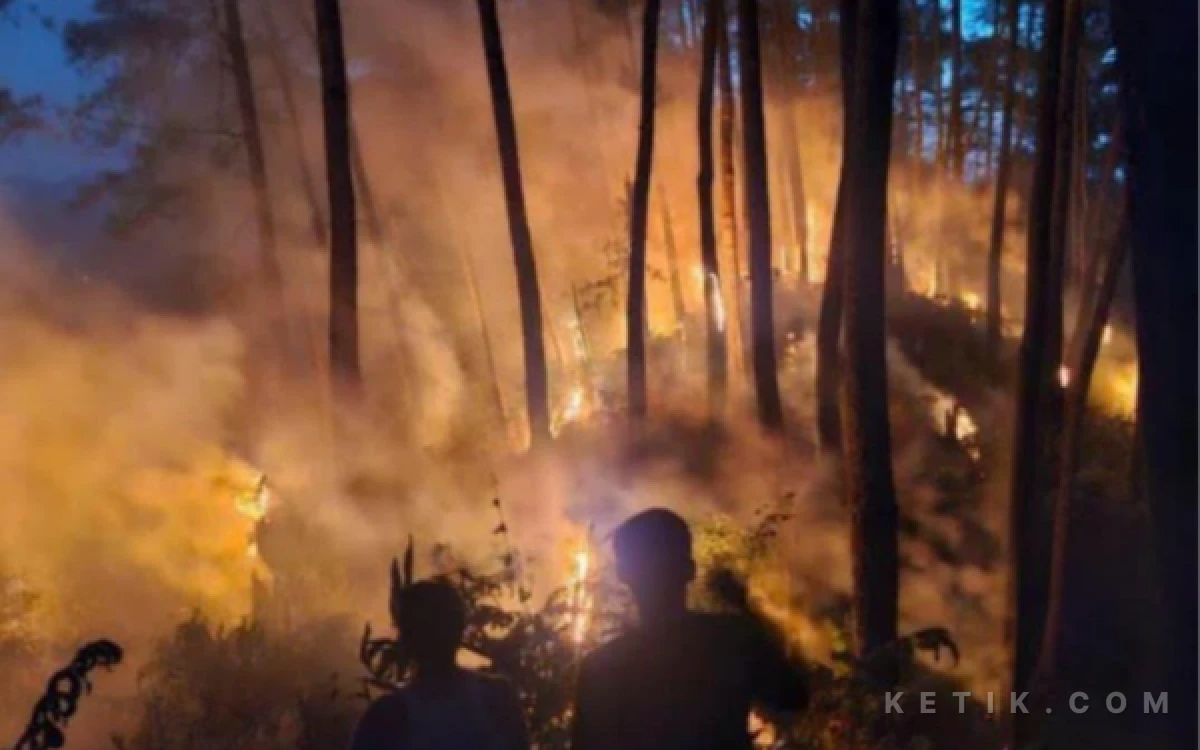 Thumbnail Berita - Kebakaran Hutan di Pesahangan, Babinsa Koramil 14/Cimanggu dan Petugas Gabungan Berhasil Padamkan Api