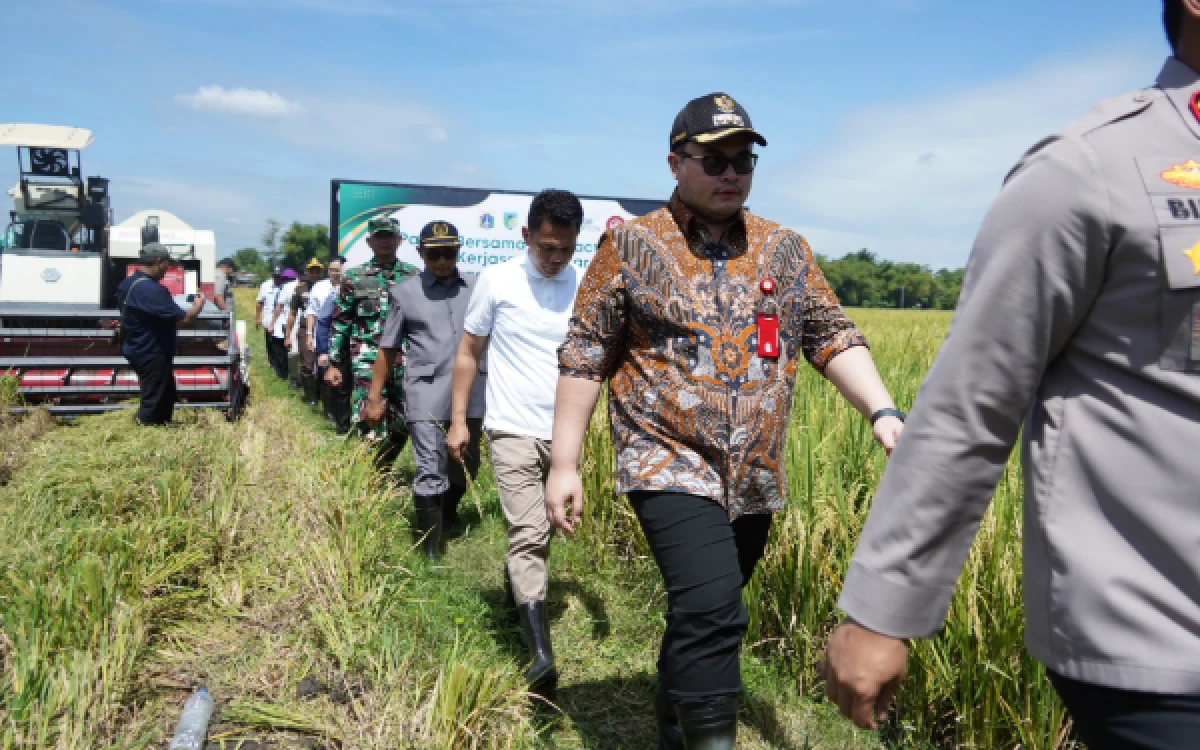 Thumbnail Berita - Antisipasi Kemarau, Mas Dhito All-Out Permudah Solar Subsidi dan Pasokan Listrik Sawah untuk Petani Kediri