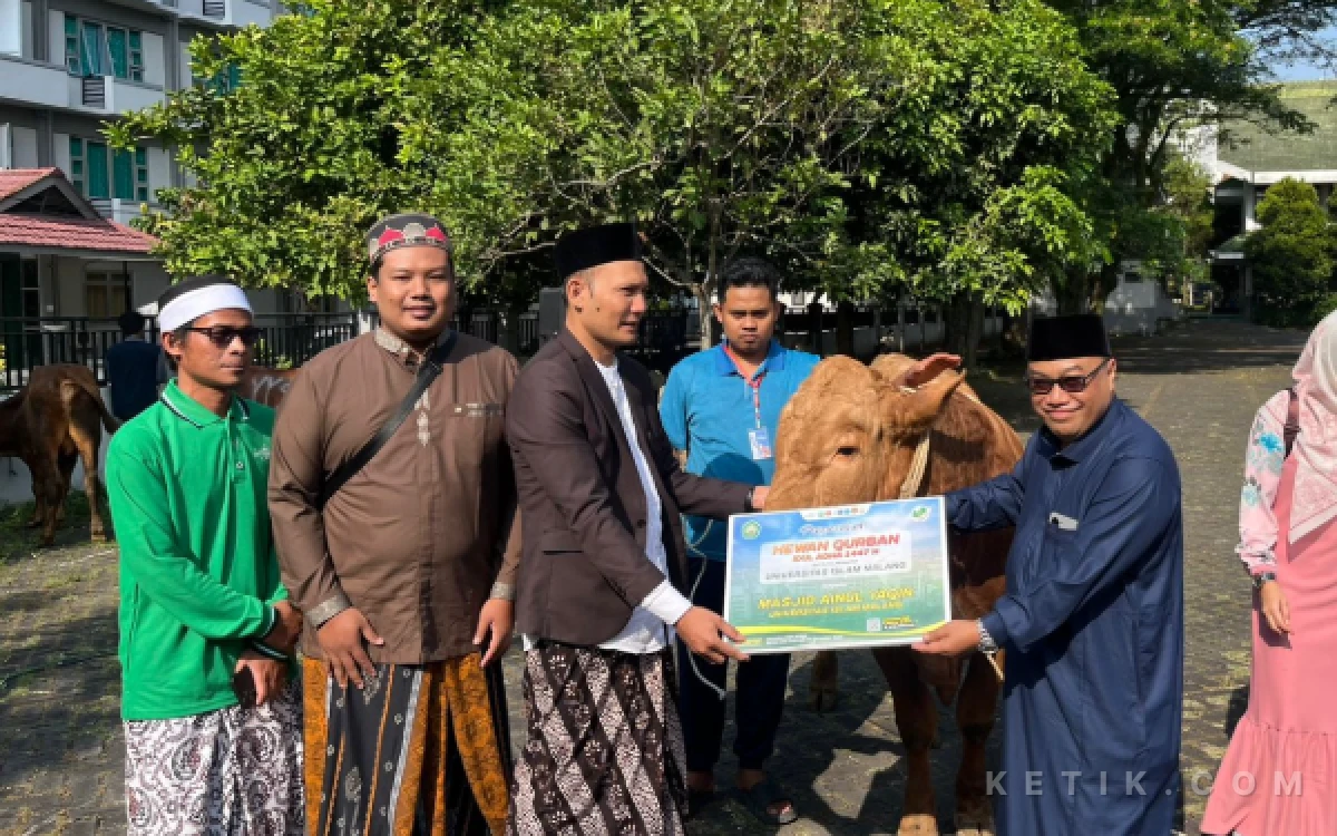 Thumbnail Berita - Iduladha 2026, Unisma Tebar 22 Sapi dan 33 Kambing Kurban hingga Malang Selatan