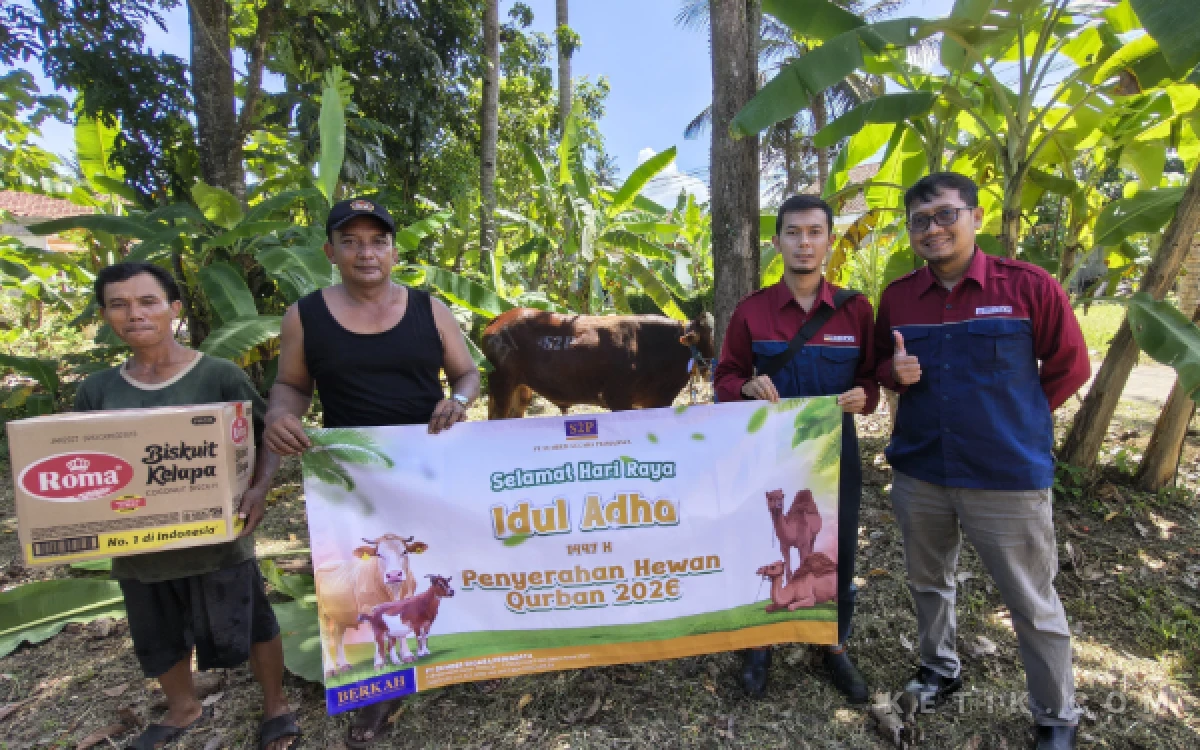 Thumbnail Berita - Wujud Kepedulian, S2P PLTU Cilacap Bagikan 35 Sapi dan 11 Kambing Kurban untuk Warga