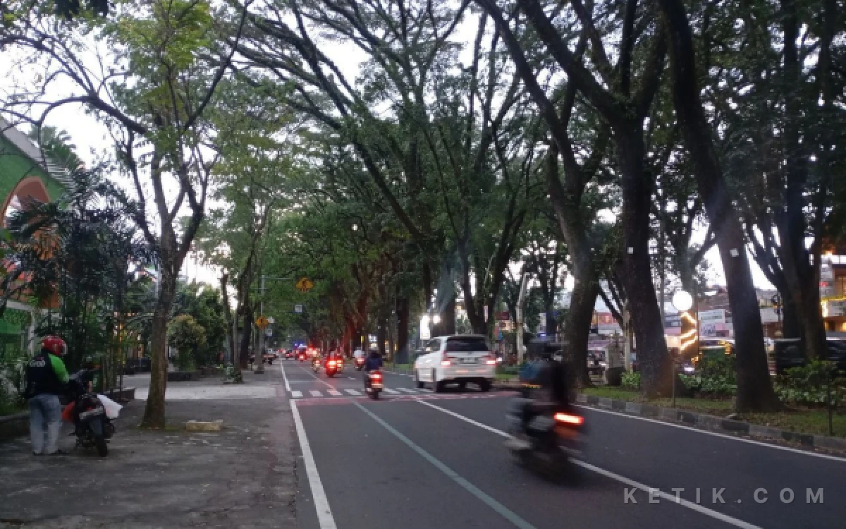 Dishub Kota Malang Bakal Sanksi PKL dan Parkir Liar di Marka Hijau Jalan