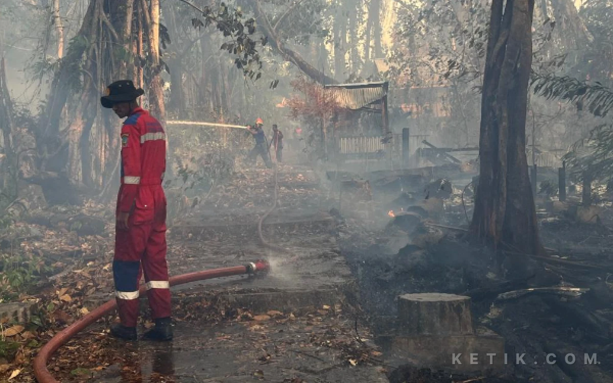 Thumbnail Berita - Api Melalap Taman Kota Hutan Karet Bersejarah di Halmahera Selatan