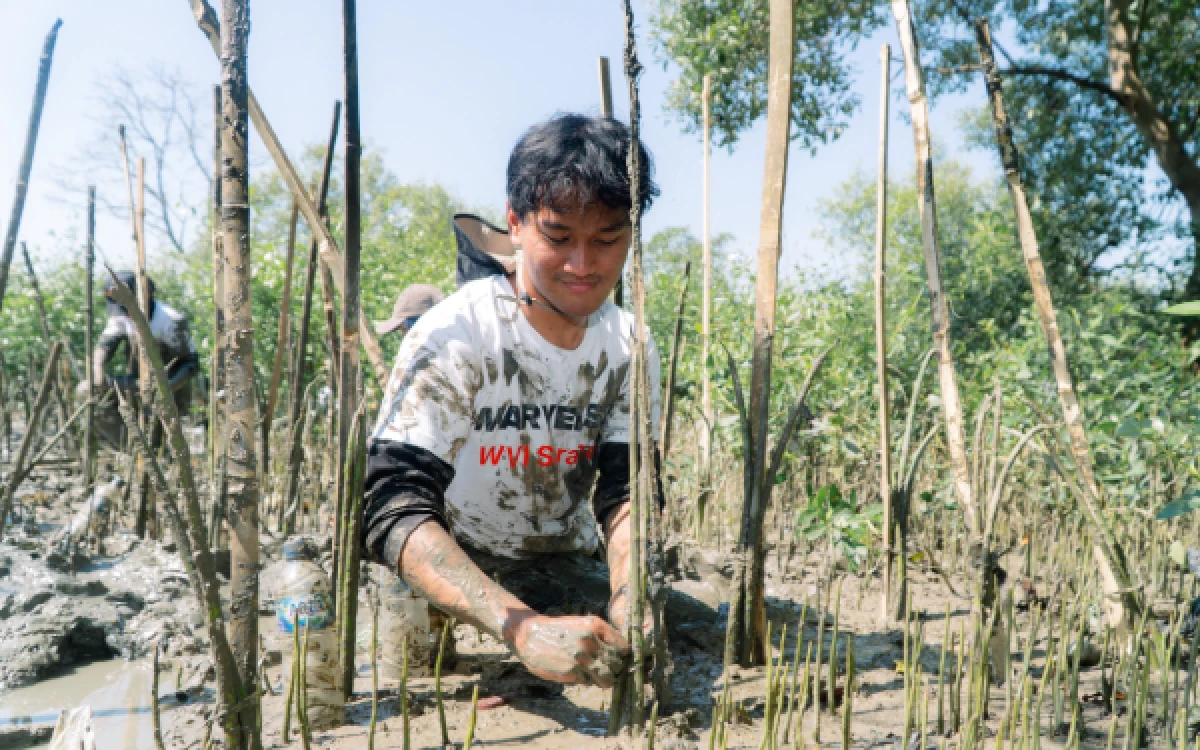 Thumbnail Berita - FBiPK UB Dorong Rehabilitasi Ekosistem Mangrove di Pesisir Wonorejo Surabaya