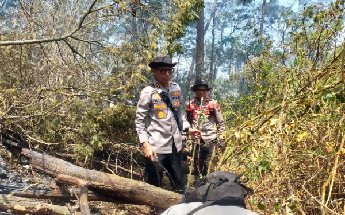 Thumbnail Berita - ‎Karhutla Gunung Arjuno, Kapolres Malang Terjun Langsung Bantu Pemadaman Api
