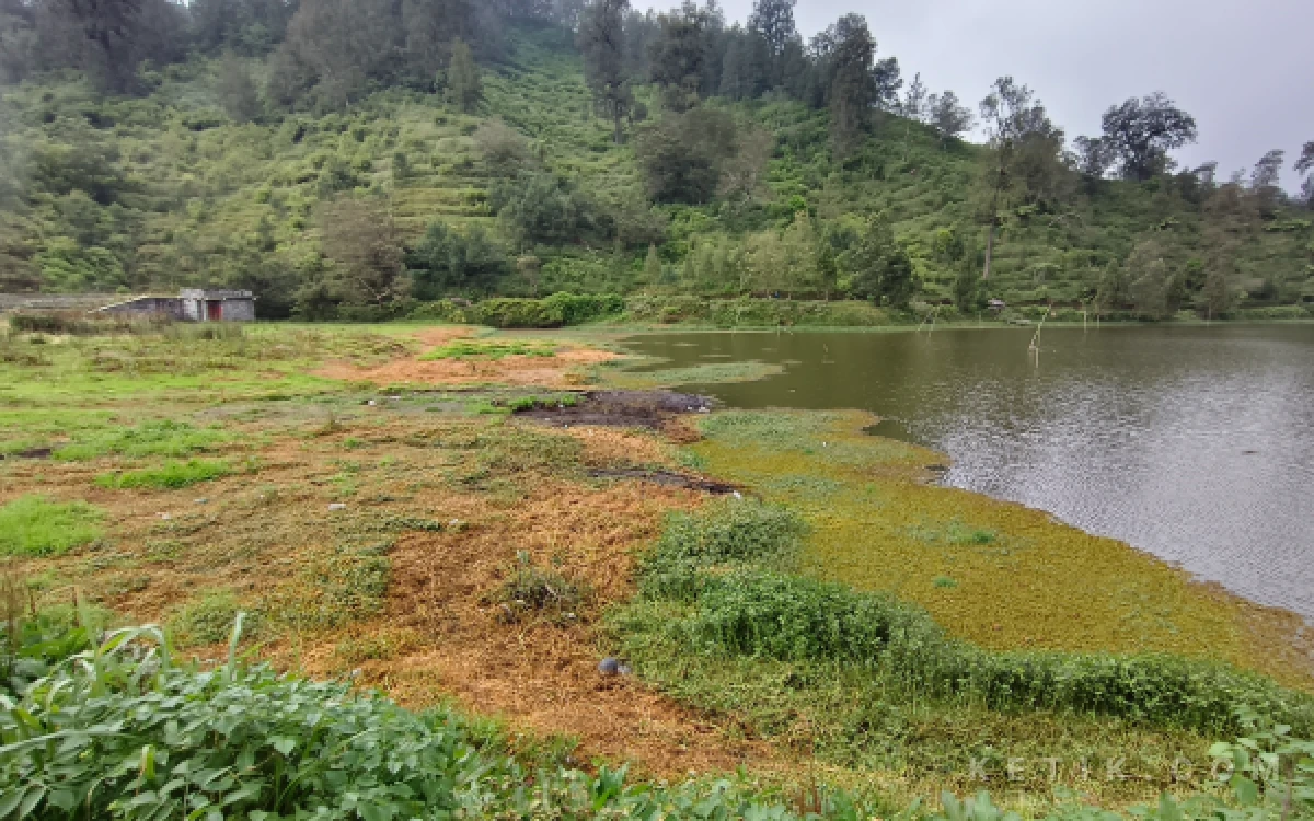 Thumbnail Berita - Embun Es Muncul di Ranu Pani, Warga Antisipasi Dampak Bediding pada Tanaman