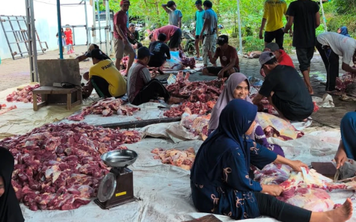 Thumbnail Berita - Tembus Rp5,5 Miliar! LDII Banyuwangi Salurkan Hampir 500 Ekor Hewan Kurban di Iduladha 2026