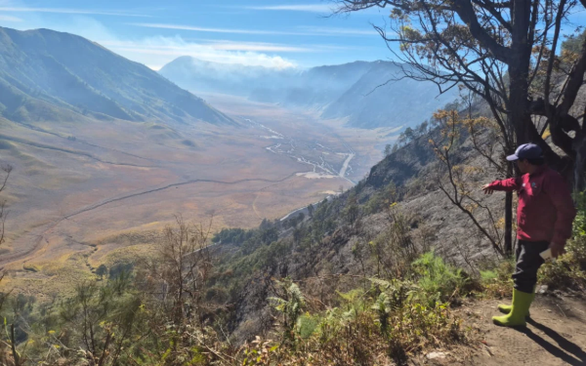Thumbnail Berita - Api di Jemplang Malang Dikabarkan Sudah Padam, Petugas Tetap Siaga di Kawasan Bromo