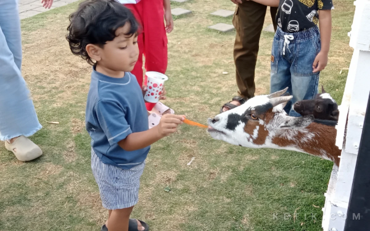 Foto Pengunjung sedang memberikan makan hewan di Malang Strudel and Farm Kota Batu. (Foto: Aliyah/Ketik.com)