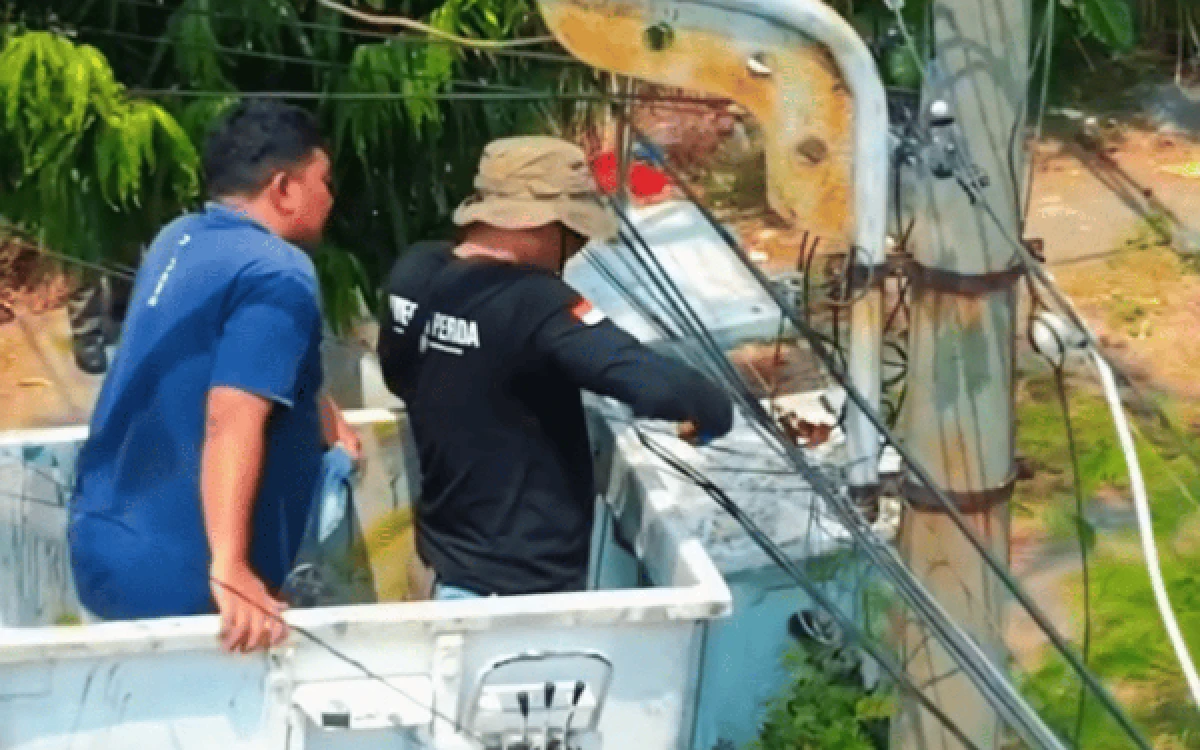 Thumbnail Berita - Marak Tiang Provider Ilegal, DSA dan Bina Marga Surabaya Lakukan Penertiban dan Pembongkaran