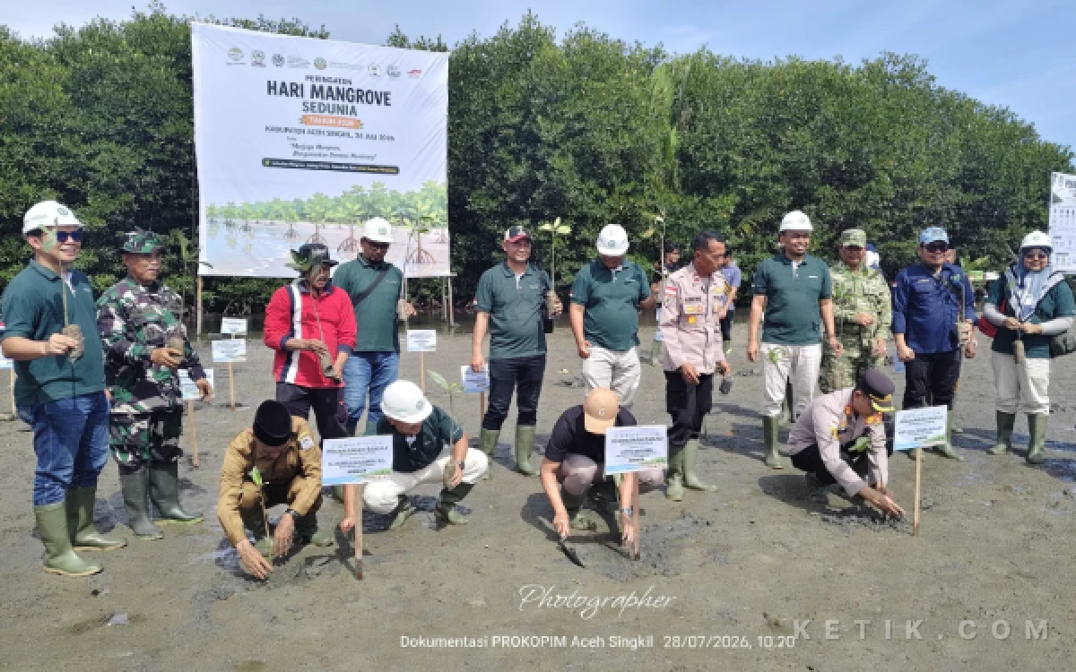 Thumbnail Berita - 3.000 Bibit Mangrove Ditanam untuk Lestarikan Lingkungan Pesisir Aceh Singkil