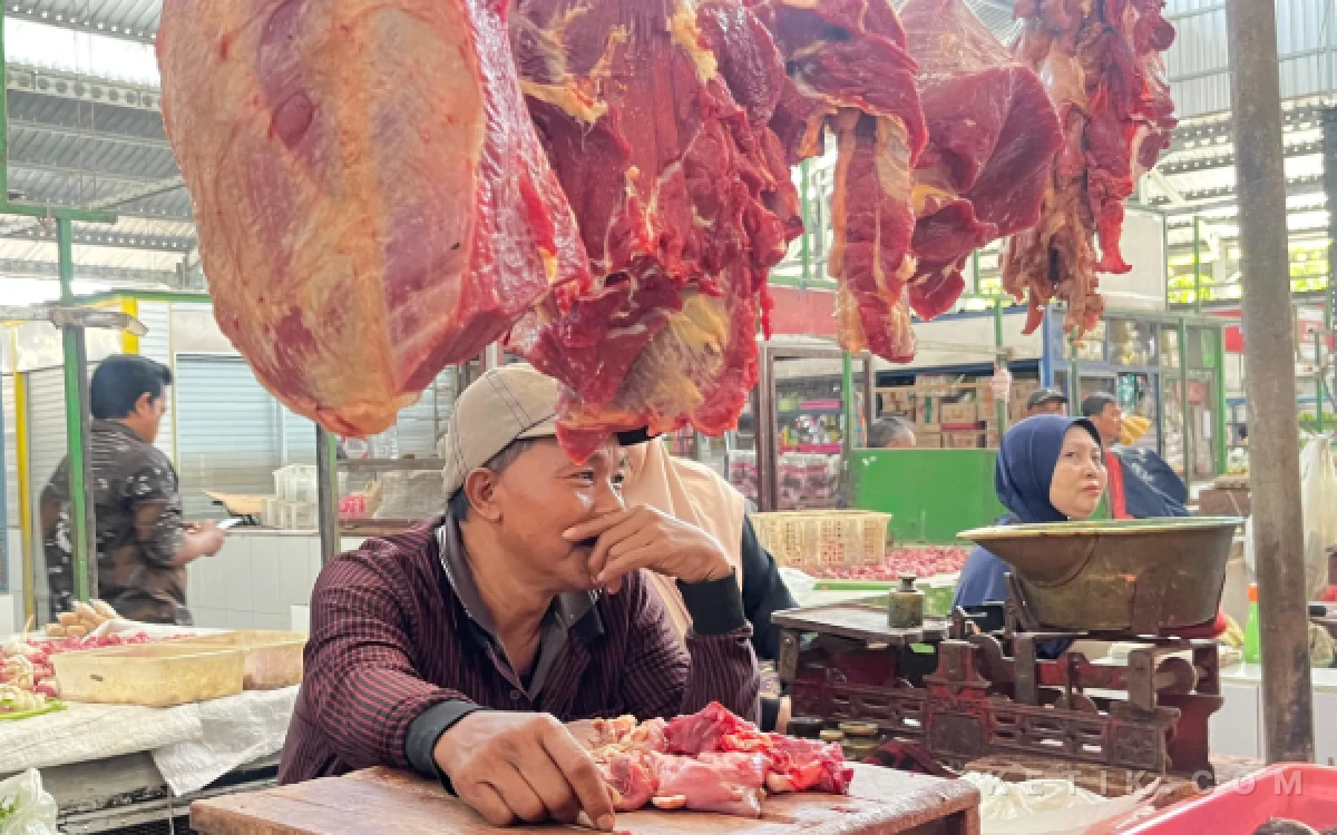 Thumbnail Berita - Prabowo Gembor-Gembor Swasembada Daging, Harga Daging di Kota Malang Justru Melambung Tinggi